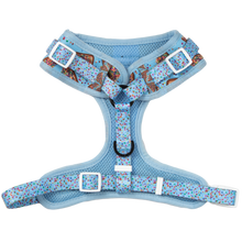 Load image into Gallery viewer, Big and Little Dogs - ADJUSTABLE DOG HARNESS: Blue Fairy Bread
