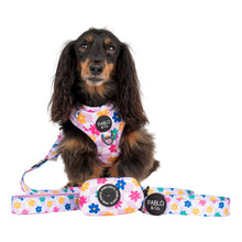 Load image into Gallery viewer, Pablo &amp; Co. Boutique - Delightful Daisies - Dog Poop Bag Holder
