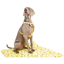 Load image into Gallery viewer, ON-THE-GO PET MAT: BEE-HIVING
