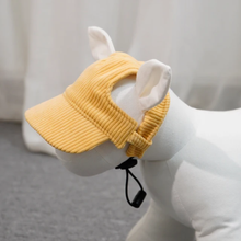 Load image into Gallery viewer, Best selling Corduroy dog hat
