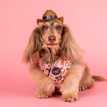Load image into Gallery viewer, Howdy: Adjustable Harness
