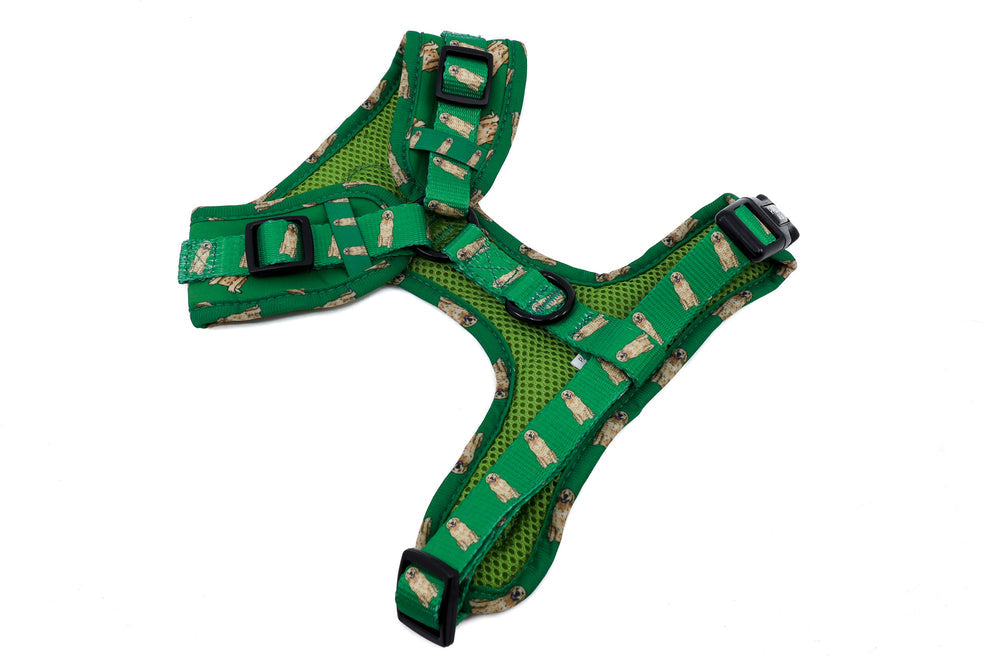 Golden Retriever: Adjustable Harness
