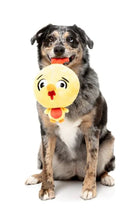 Load image into Gallery viewer, Hen Diesel
