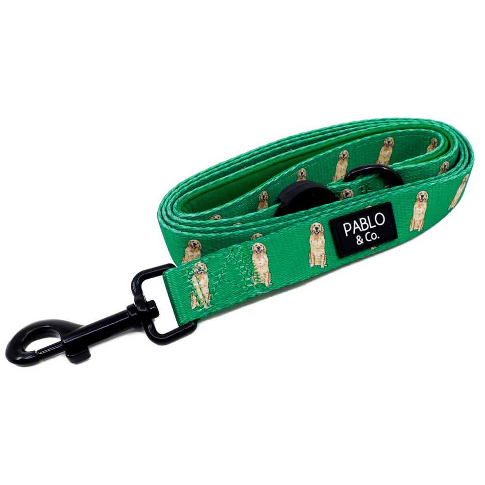 Golden Retriever: Dog Leash