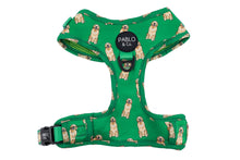 Load image into Gallery viewer, Golden Retriever: Adjustable Harness

