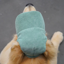 Load image into Gallery viewer, Best selling Corduroy dog hat

