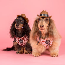 Load image into Gallery viewer, Rodeo: Adjustable Harness
