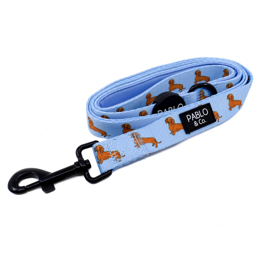 Dachshund- Dog leash