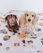 Load image into Gallery viewer, Dog Picnic Blanket - Weens Club

