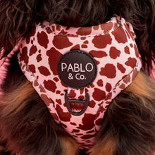 Load image into Gallery viewer, Rodeo: Adjustable Harness
