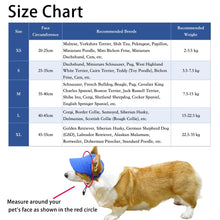 Load image into Gallery viewer, Best selling Corduroy dog hat

