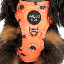 Load image into Gallery viewer, Bark Club: Adjustable Harness
