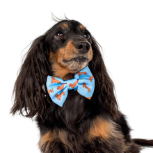 Load image into Gallery viewer, Dachshund Bow Tie
