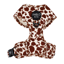 Load image into Gallery viewer, Rodeo: Adjustable Harness
