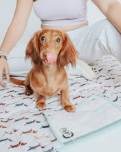 Load image into Gallery viewer, Dog Picnic Blanket - Dainty Dachshunds
