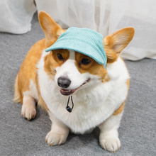 Load image into Gallery viewer, Best selling Corduroy dog hat
