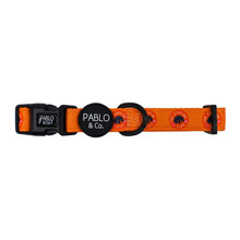 Load image into Gallery viewer, Bark Club: Collar
