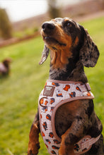 Load image into Gallery viewer, Dog Adjustable Harness - Weens Club
