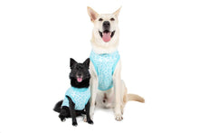 Load image into Gallery viewer, DOG FLEECE JUMPERS - TURQUOISE LEOPARD
