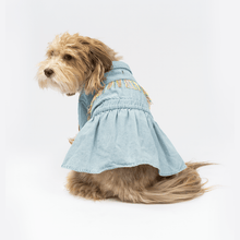 Load image into Gallery viewer, Ocean Denim Dog Dress
