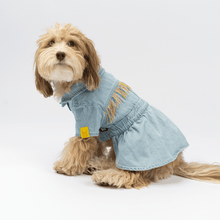 Load image into Gallery viewer, Ocean Denim Dog Dress
