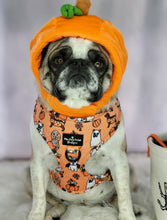 Load image into Gallery viewer, The Happy Howloween Harness
