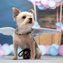 Load image into Gallery viewer, Angel wings
