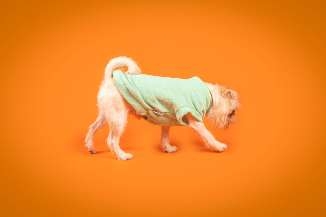 Hey Bert - Water Resistant Dog Tank Fleece (Peppermint Storm)