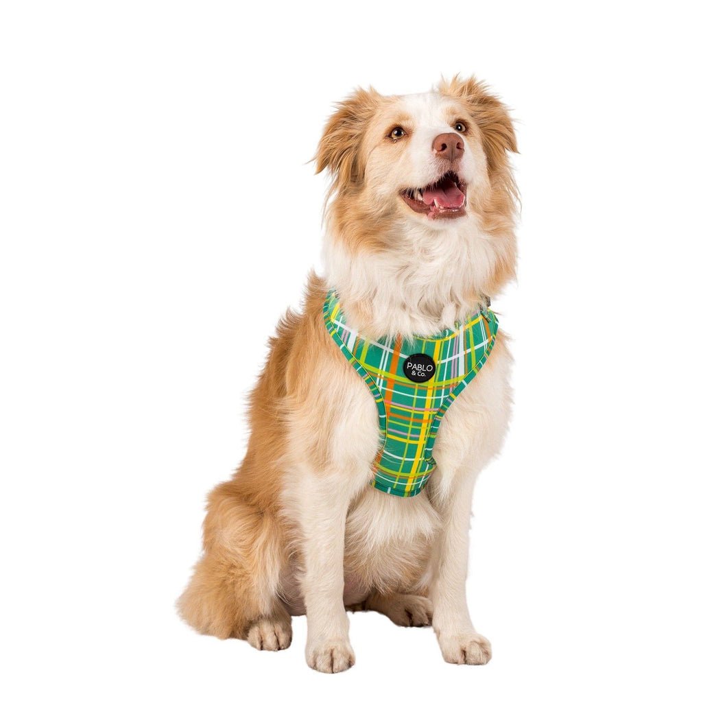 Pablo & Co. Boutique - Groovy Grid: ADJUSTABLE HARNESS