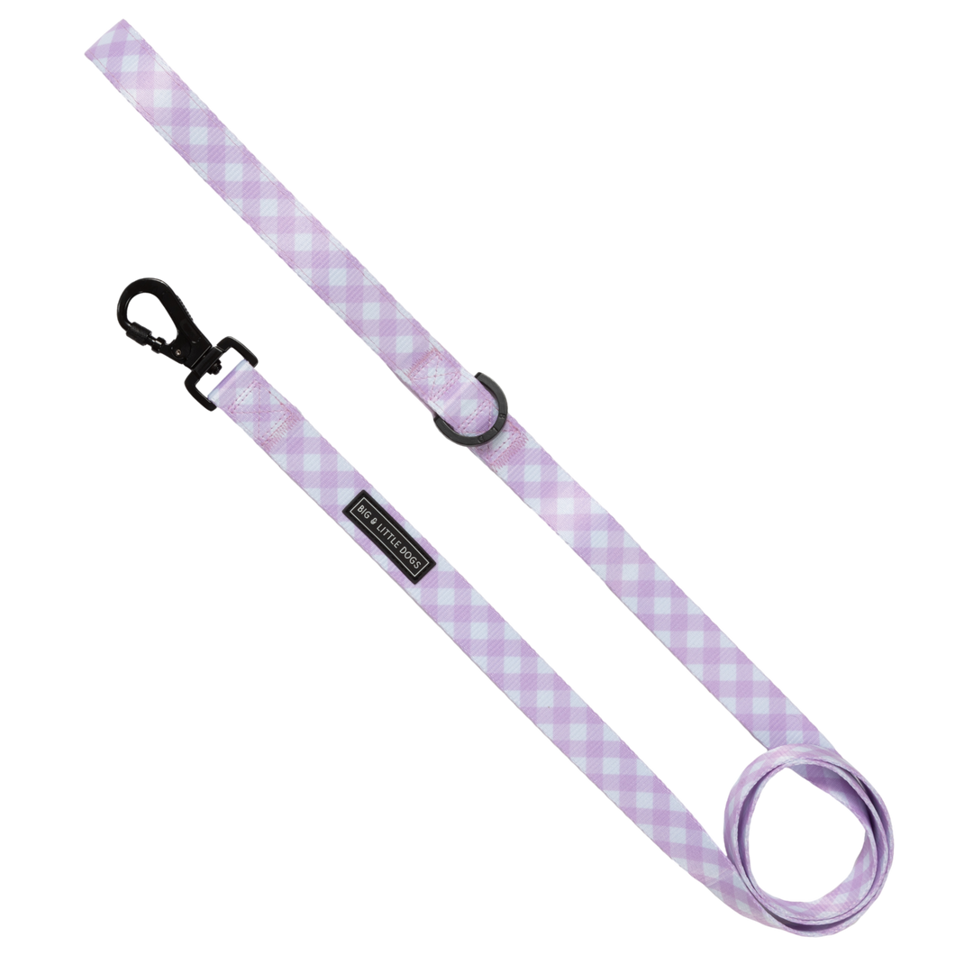 Big and Little Dogs - DOG LEASH: Berry Gingham: 1.5cm Wide