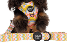 Load image into Gallery viewer, Pablo &amp; Co. Boutique - Boho Waves: Dog Leash
