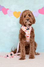 Load image into Gallery viewer, You Had Me At Waffles - Dog Leash

