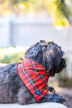Load image into Gallery viewer, Plaid Bandana - Tie Up Dog Bandana
