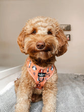 Load image into Gallery viewer, The Happy Howloween Harness
