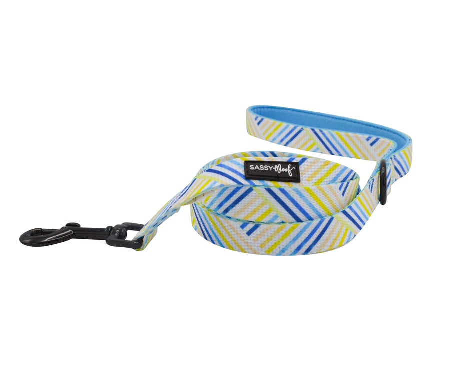 Leash - Blueberry Lemonade