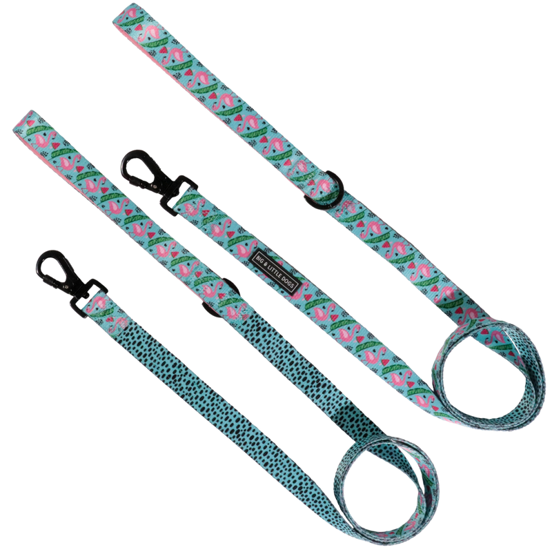 DOG LEASH: Flocking Fabulous