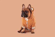 Load image into Gallery viewer, TEDDY HOODIE DOG JUMPER: Caramel
