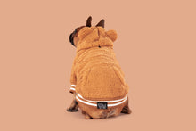 Load image into Gallery viewer, TEDDY HOODIE DOG JUMPER: Caramel
