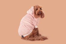 Load image into Gallery viewer, TEDDY HOODIE DOG JUMPER: Baby Pink
