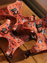 Load image into Gallery viewer, The Happy Howloween Harness
