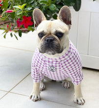 Load image into Gallery viewer, PURPLE GINGHAM - DOG SKIVVIE
