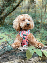 Load image into Gallery viewer, The Happy Howloween Harness
