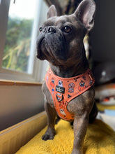 Load image into Gallery viewer, The Happy Howloween Harness
