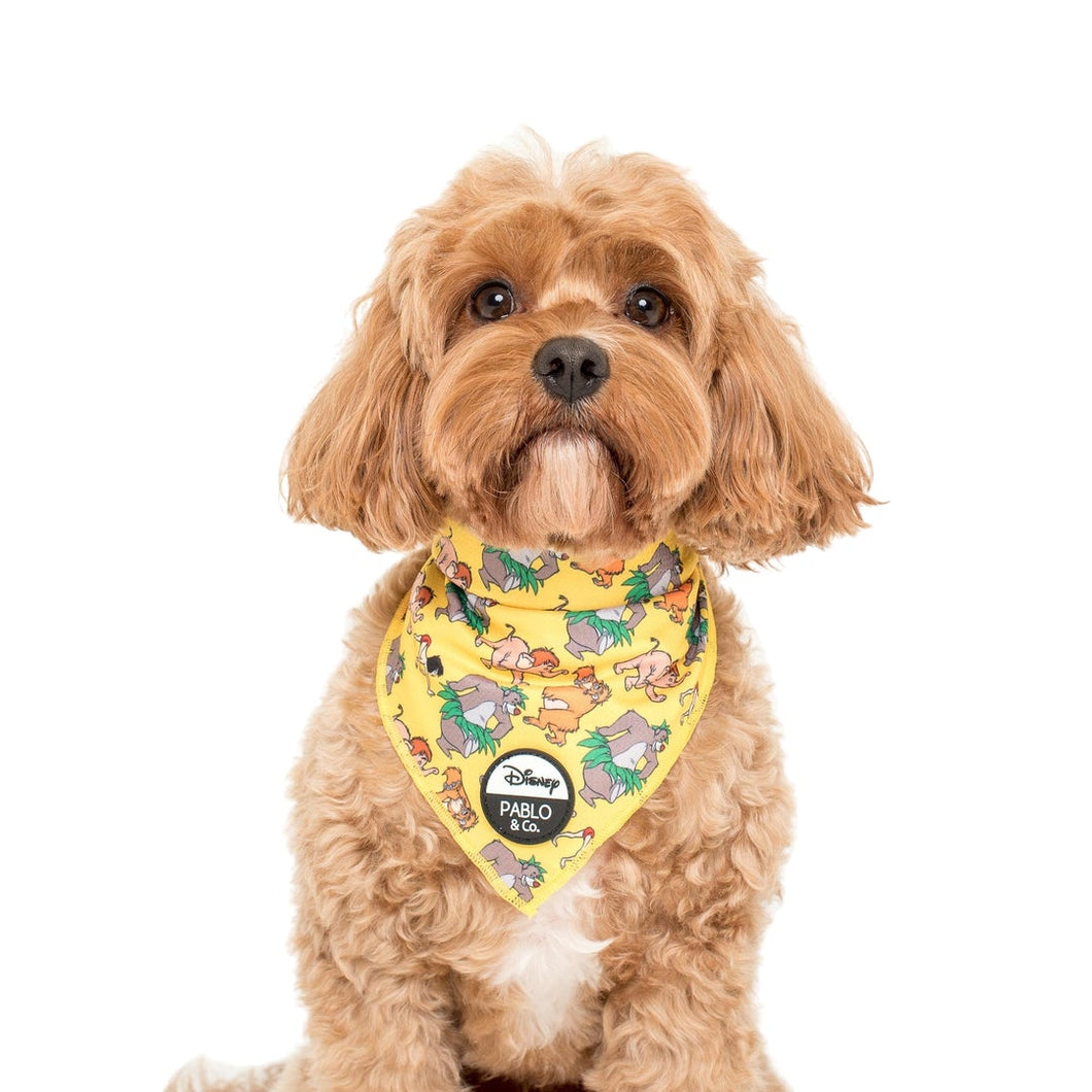 The Jungle Book Vol. 2: Dog Bandana

Medium