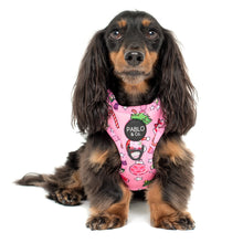 Load image into Gallery viewer, Christmas Wonderland: Adjustable Harness
