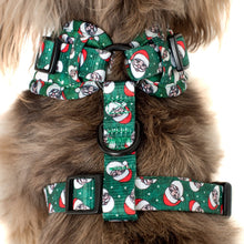 Load image into Gallery viewer, Rad Santa: Adjustable Harness

