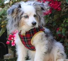 Load image into Gallery viewer, Poppy Step-in Dog Harness Red plaid

