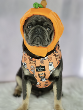 Load image into Gallery viewer, The Happy Howloween Harness
