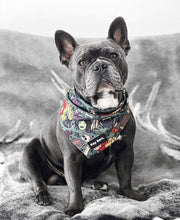 Load image into Gallery viewer, Hocus Pocus - Dog Bandana by Hey Bert
