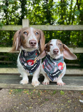 Load image into Gallery viewer, Hocus Pocus - Dog Bandana by Hey Bert
